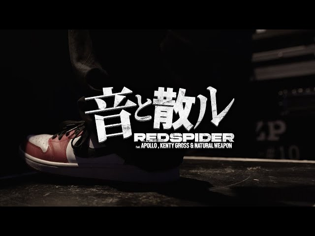 RED SPIDER – 音と散ル